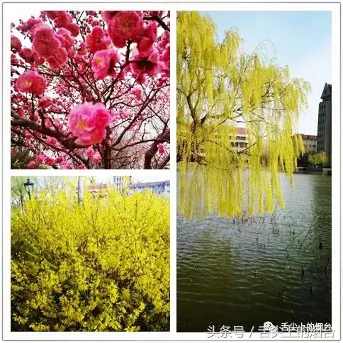 走进大学食堂,走进学校食堂视频