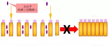 三个月宝宝湿疹和过敏有区别吗,6个月宝宝老是起湿疹是过敏吗