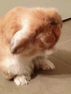 韩国joajota小蓝管洗面奶,韩国洗面奶品牌排行榜前十名