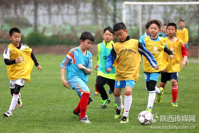 陕西青少年足球竞训队,2021年陕西省青少年足球选拔