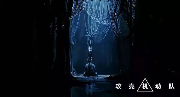 攻壳机动队各版本区别,攻壳机动队2008完整版免费观看