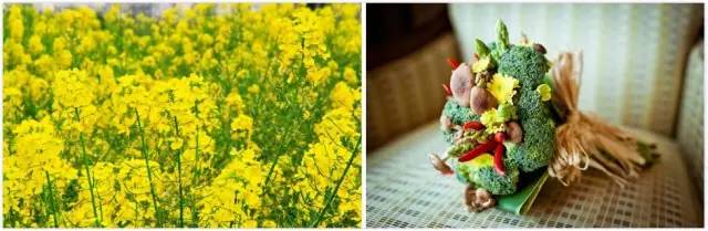 GreenCode：“向未来致敬”