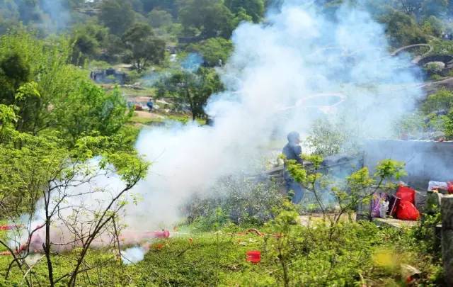 今年的清明与往年一样,今年的清明和往年不一样的感觉