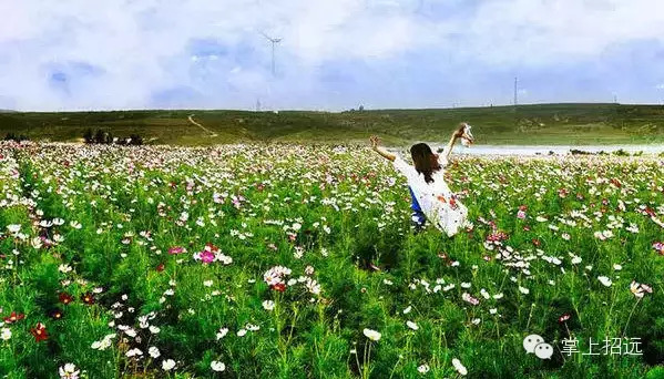 招远地名来历,招远地名大全