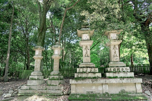 念念不忘必有回响日语,念念不忘必有回响再次相见