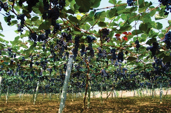 贵州省第十次党代会报告,当代贵州第17期