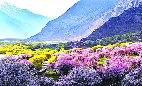 来捡漏大牌小样,来捡漏了