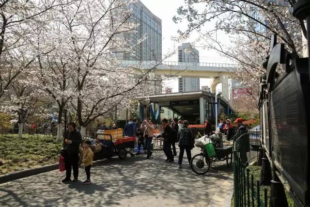 「拾趣」古典风、童话风……上海16座最美地铁站，你最常经过哪一站？