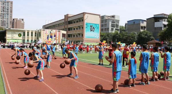 驰骋绿茵场足球争霸,驰骋足球赛场