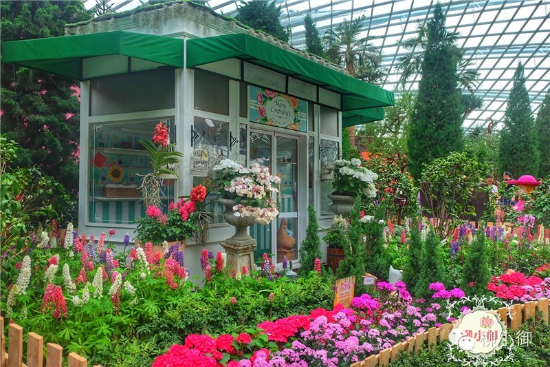 春节旅游去新加坡,新加坡旅游团春节