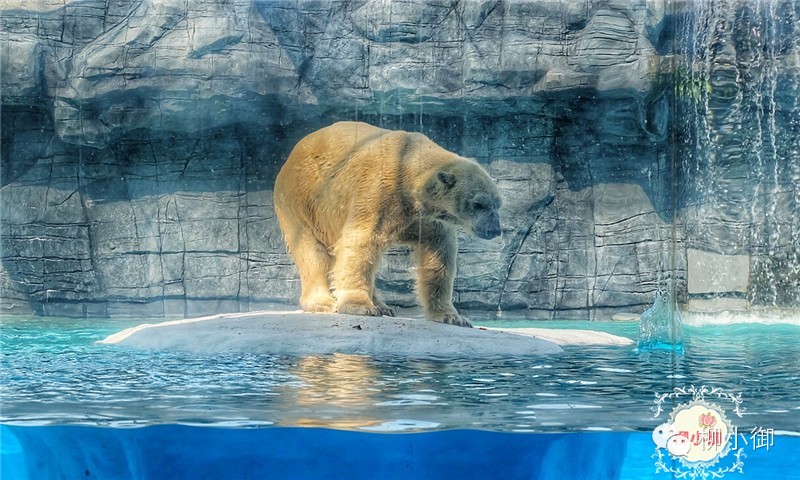 春节旅游新加坡,还能不能春节旅游去新加坡