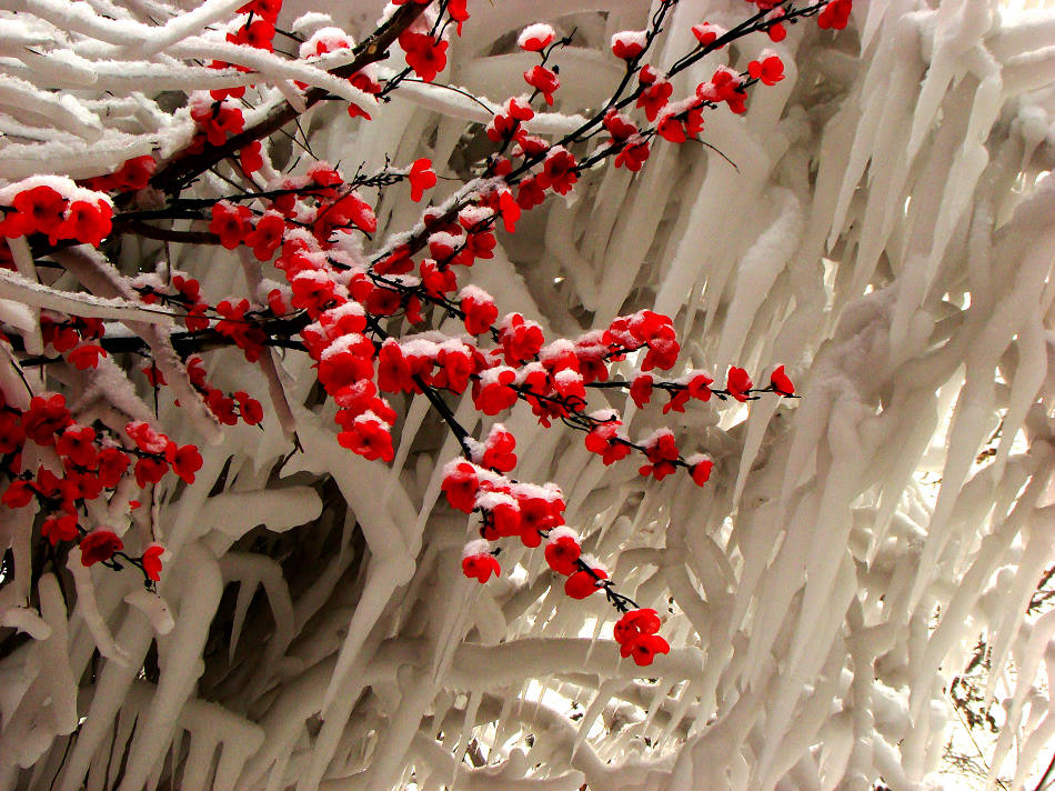 阎老走了,也许你熟悉舞台上的他,却未必了解生活中另一个他