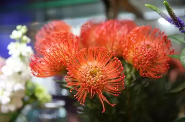 宜昌居然还有这样“见不得人”的花花世界？