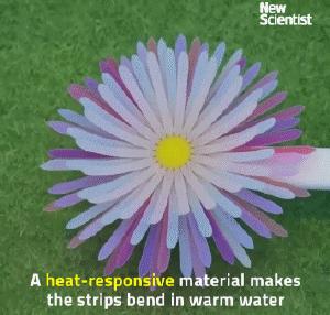 3d打印和4d区别,4d和3d打印的区别