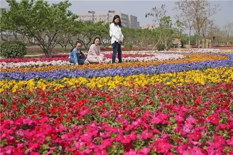 繁花似锦春天到来,繁花似锦的春天如约而至
