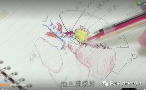 外科风云靳东白百何吻戏正片,外科风云白百何靳东修眉视频