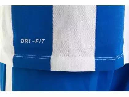 “海鸥”升超！蓝白剑条衫再现顶级联赛！