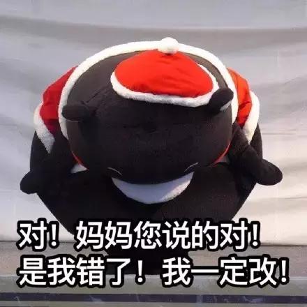 如何嫁给一个靠谱的外国人,如何嫁给东莞人