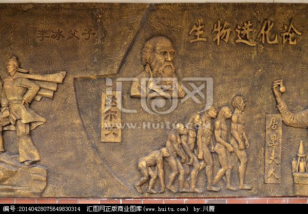 达尔文写物种起源提出生物进化论,达尔文的物种起源和进化论的区别