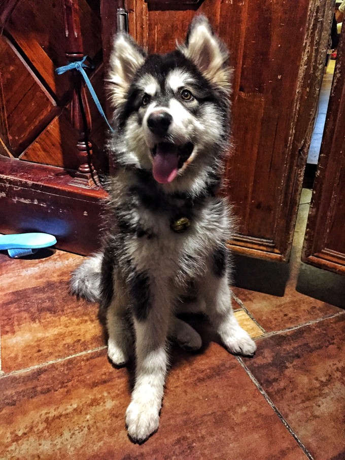 西北归来，我想说给你听，青海甘肃西安华山11天