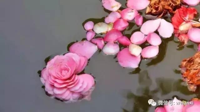 安溪最好看的风景,安溪哪个风景好