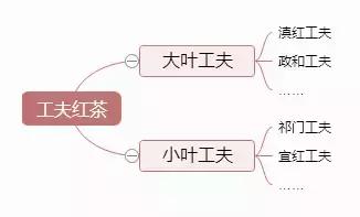 一张图看懂红茶的分类,再也不怕喝茶闹笑话了