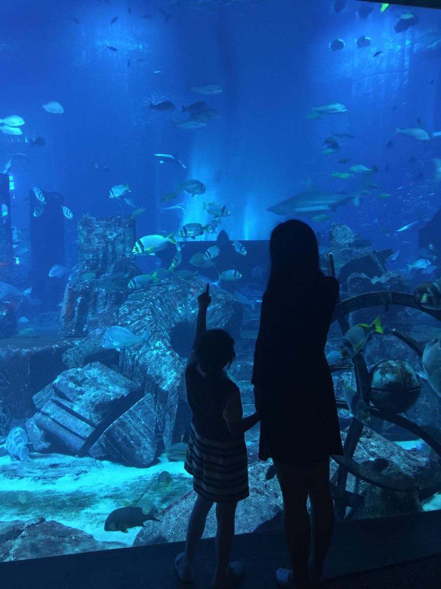 不可错过全球顶尖酒店住宿攻略,难以想象的海上酒店