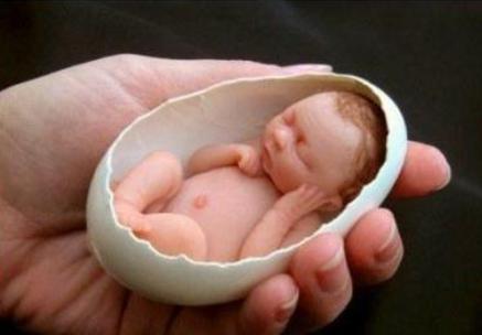 早产黄疸会自愈吗,武汉协和医院治疗早产儿