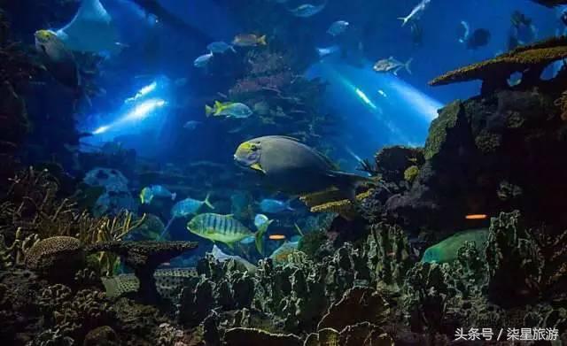 沙尘暴来了，好动的宝宝该去哪里玩？