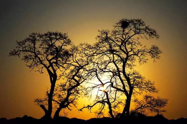 一个家族都可以拥有家谱吗,家谱是延续家族血脉的重要载体