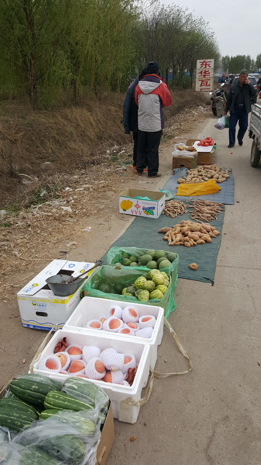 唐山市乐亭县大集,河北唐山乐亭大集