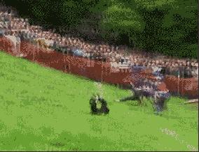 哥们，世界纪录倒没破，结果把自己给玩完了