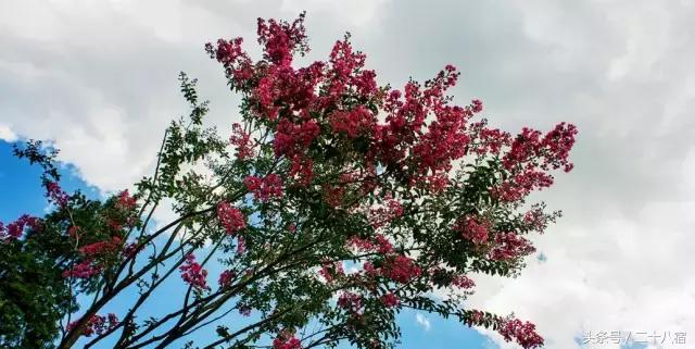 茑舍|明清古街里的民宿,在这里一分钟有80秒长