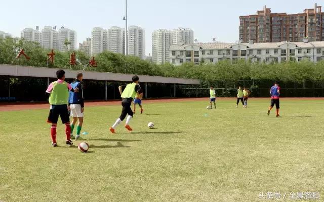 洛阳足球俱乐部试训,洛阳成立职业足球俱乐部