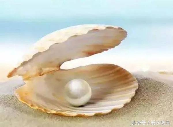 珍珠的保养方法和护理,珍珠护理小窍门