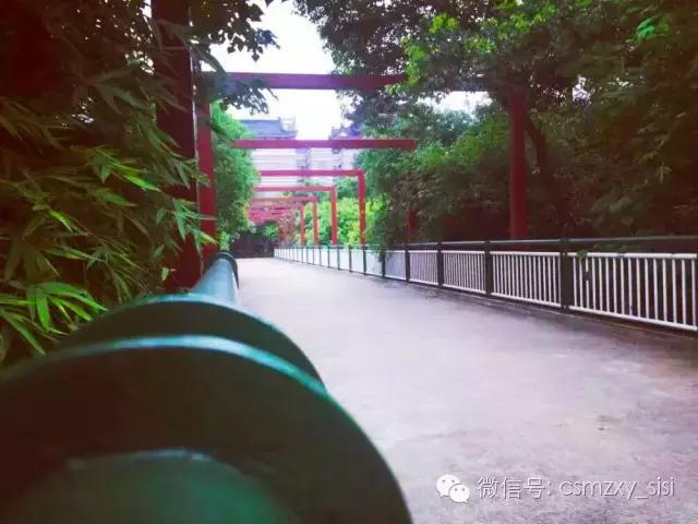 长沙民政职业学院哪个专业最好,长沙民政学院2022录取名单