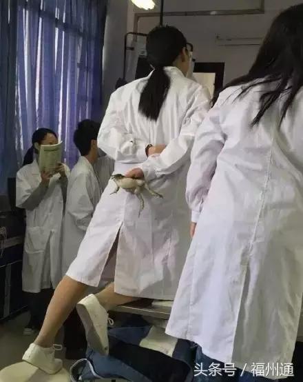 这美女厉害了！福州女大学生手绘人体解剖图太逼真！