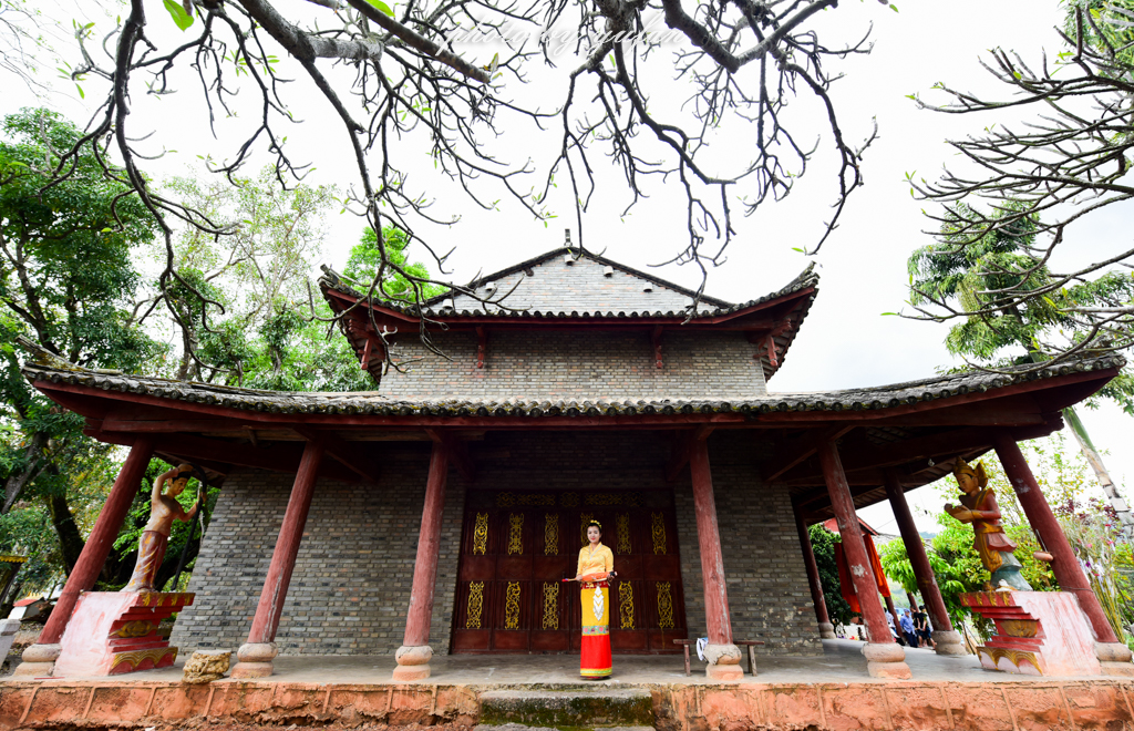 云端上的世外桃源，看看浇灌牛奶和土鸡蛋的有机乌龙茶长成啥样