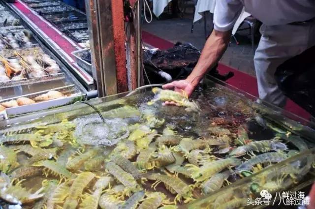 丹东腌制皮皮虾濑尿虾,濑尿虾好吃还是皮皮虾好吃