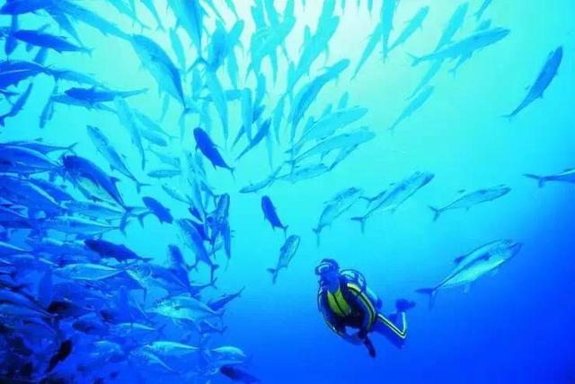 南海最富有的岛,南海明珠岛