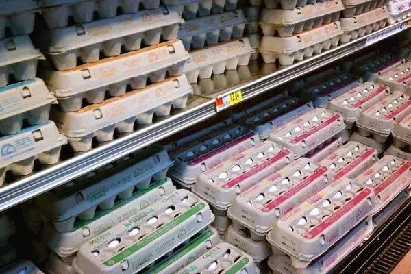 土鸡蛋与普通蛋有什么区别,土鸡蛋有机