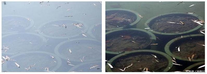 滤镜cpl偏振镜,偏振镜与滤镜