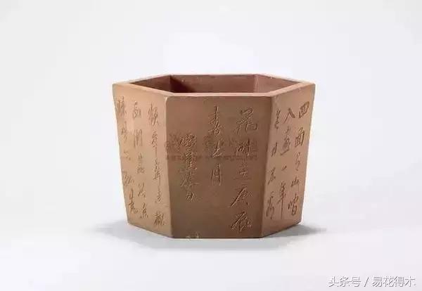 陶瓷花盆适合种什么花,仿瓷的花盆养花好吗