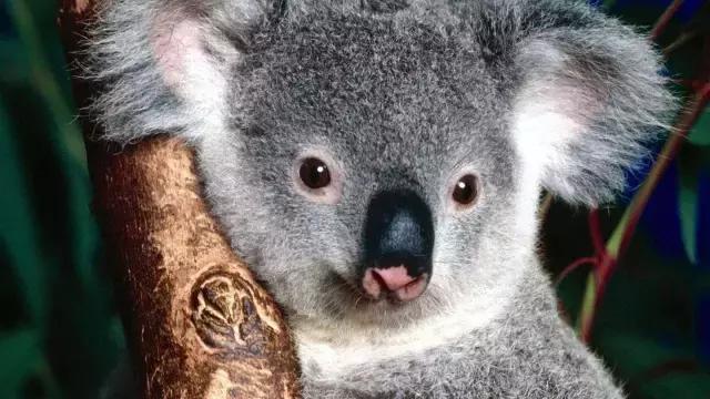 武汉五一去哪儿玩人少,五一去哪里玩武汉人少