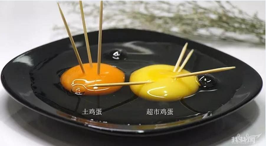 土鸡蛋营养差别不大,土鸡蛋鸭蛋分不清