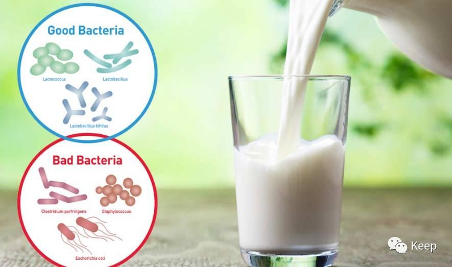 椰子水与椰青水功效一样吗,椰子水与椰奶功效