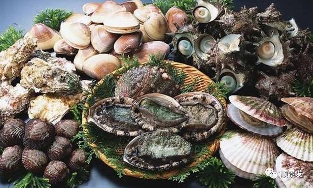 贝类海鲜的品种及图片大全,常见的贝类海鲜图片大全及名称