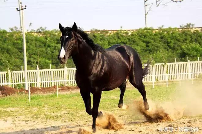 东营五一假期好去处,五一东营去哪里玩比较好