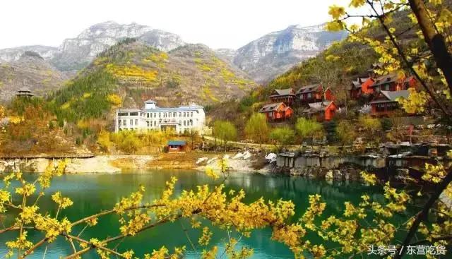 东营五一假期好去处,五一东营去哪里玩比较好