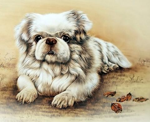 三月份来财三大生肖,未来3个月财气冲天的三大生肖